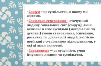 Що таке соціальне середовище: вплив на людину та суспільство