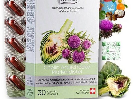 Артишок і розторопша: у чому різниця між цими рослинами? Артишок і розторопша: у чому різниця між цими рослинами?