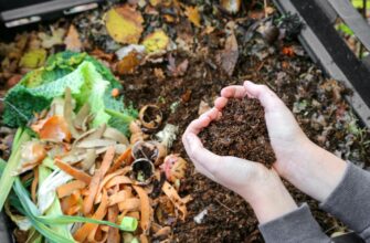 Компост: що це таке, як його зробити та чому він важливий?