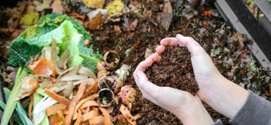 Компост: що це таке, як його зробити та чому він важливий?