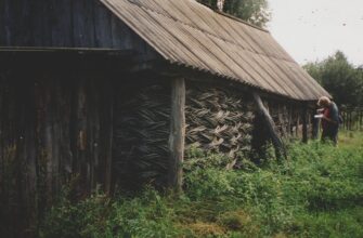 Що таке клуня: функції, різновиди та особливості спорудження