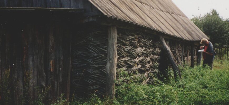 Що таке клуня: функції, різновиди та особливості спорудження