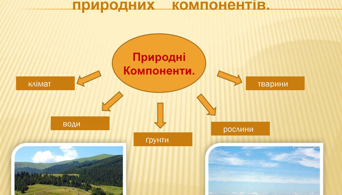 Що таке ландшафт: визначення, види та їх значення в природі
