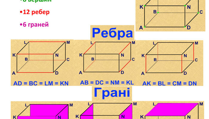 Прямокутний паралелепіпед: визначення, властивості та застосування