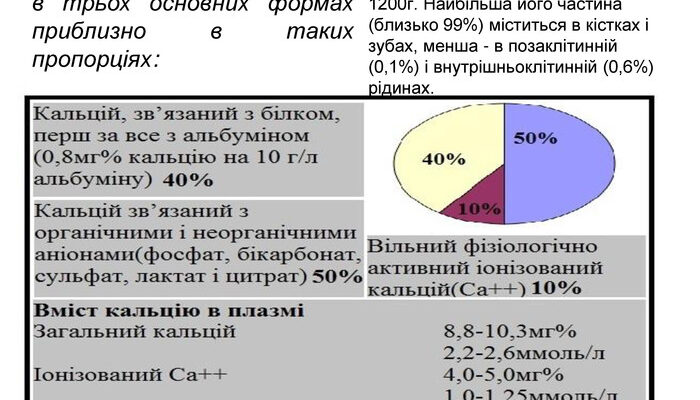 Іонізований кальцій: ключові факти про його значення для здоров’я