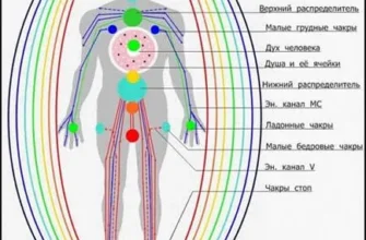 Меридіани: що це таке та яке значення вони мають для Землі?