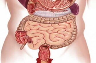 Що таке пенетрація: Визначення, значення і приклади використання