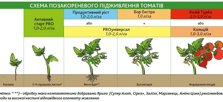 Що таке період вегетації: основи та вплив на рослини в Україні