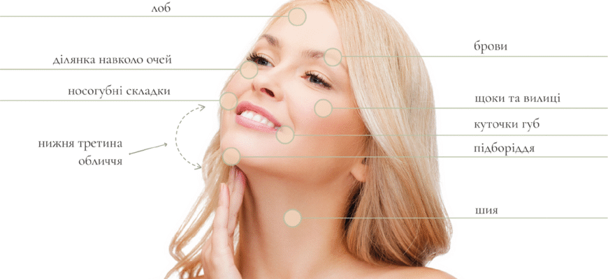Вилиці: визначення, функції та як доглядати за цією областю обличчя