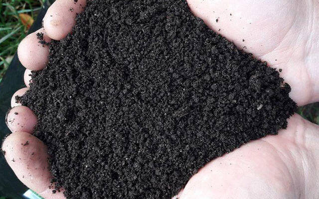 Біогумус: Натуральне Добриво для Підвищення Родючості Ґрунтів