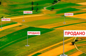 Гектар: основи вимірювання площі земельних ділянок у сільському господарстві