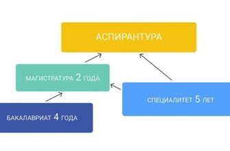 Різниця між ступенями бакалавра та магістра: що потрібно знати?