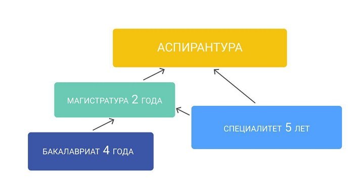 Різниця між ступенями бакалавра та магістра: що потрібно знати?