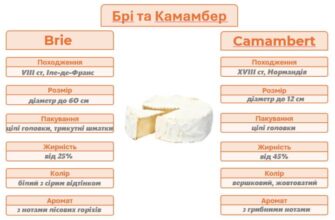 Камамбер і брі: відмінності, які роблять кожен сир унікальним