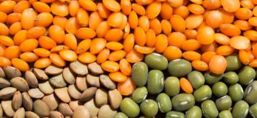 Порівняння: соя і сочевиця – у чому різниця та корисність?