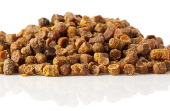 Перга: що це таке та які корисні властивості для здоров’я?