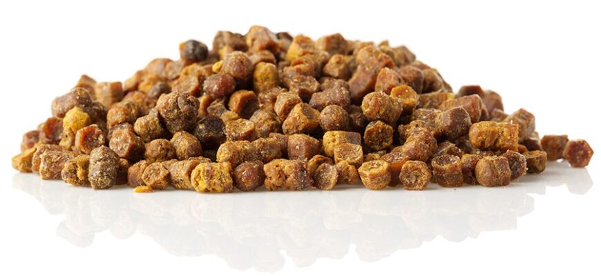 Перга: що це таке та які корисні властивості для здоров’я?