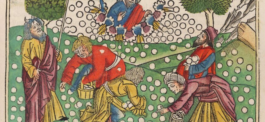 Що таке манна: значення, історія та використання у сучасності