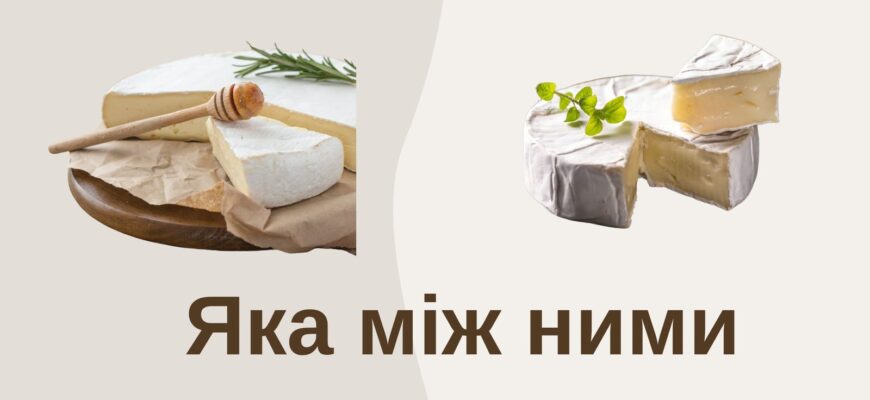Сир брі та камамбер: головні відмінності та особливості смаку
