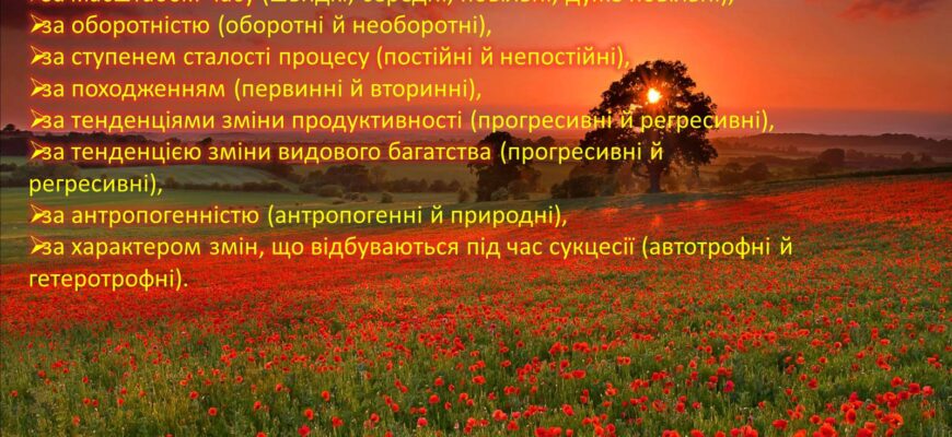 Сукцесія: процес змін екосистем та їх значення для природи