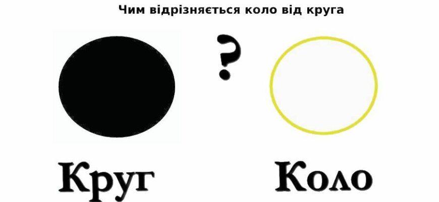 Яка різниця між колом і кругом: основні відмінності та пояснення