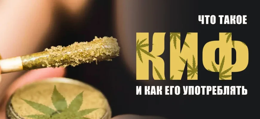 Кіф: Що Це Таке та Яке Його Значення в Сучасному Світі?