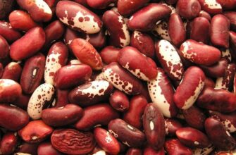 Боби і квасоля: основні відмінності та переваги для вашого харчування