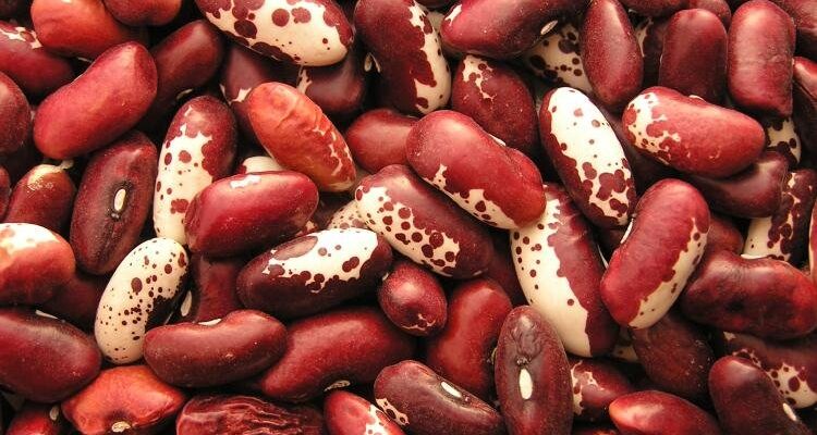 Боби і квасоля: основні відмінності та переваги для вашого харчування