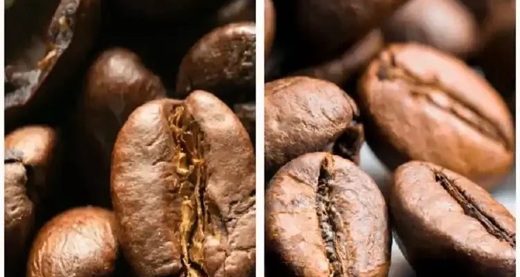 Різниця між арабікою та купажем: що обрати для ідеальної кави?