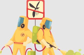 Дезінсекція: що це таке та як ефективно захистити свій дім від шкідників