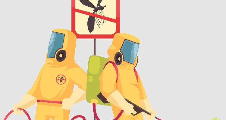 Дезінсекція: що це таке та як ефективно захистити свій дім від шкідників