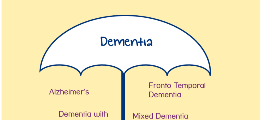 Деменція і Альцгеймер: Головні Відмінності Та Що Потрібно Знати