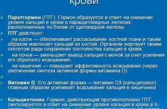 Різниця між загальним і іонізованим кальцієм: пояснення та важливість