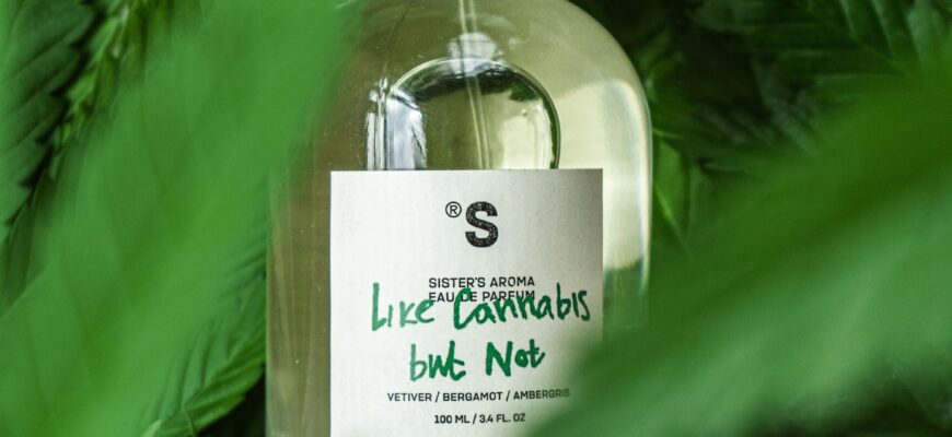 Фужерні аромати: що це таке і як обрати свій ідеальний запах?