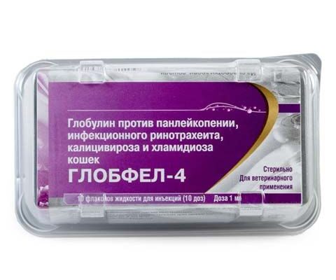 Глобулін: що це таке, його функції та роль в організмі людини
