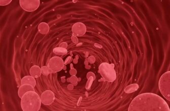 Холестерин: його роль у здоров’ї та ризики надмірного рівня