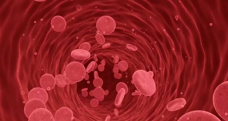 Холестерин: його роль у здоров’ї та ризики надмірного рівня