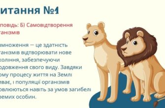 Вікторини: що це таке і як вони можуть розвивати ваші знання?