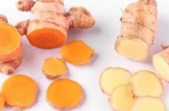 Куркума і імбир: Відмінності, користь та застосування в харчуванні