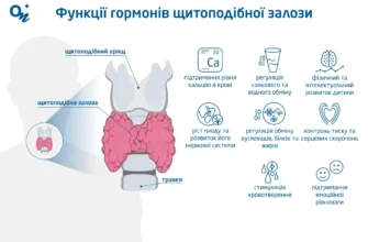Що таке гормони: Роль і вплив на здоров’я людини – Пояснення医生