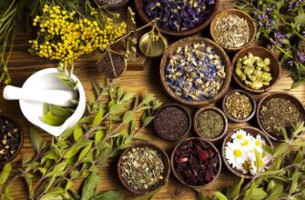 Фітотерапія: Ефективні лікувальні властивості рослин для здоров’я