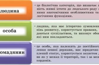 Різниця між особою та людиною: що варто знати кожному?