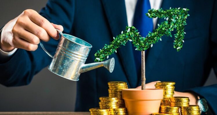 Інвестор: Дізнайтеся, хто він та яку роль відіграє у фінансах