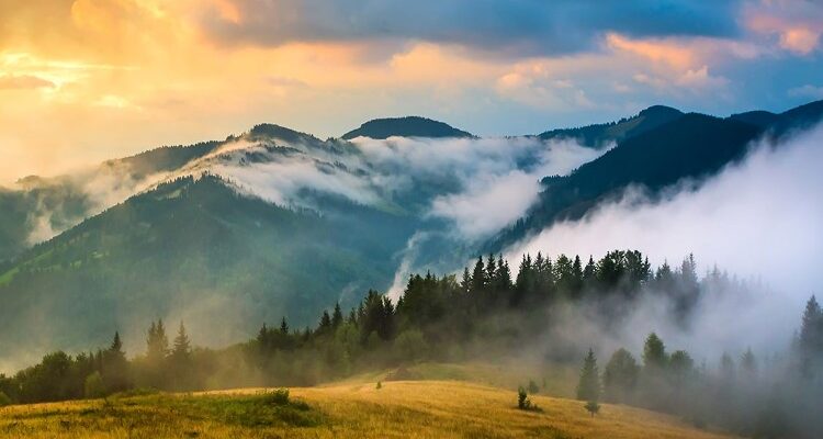ТОП-10 цікавих фактів про Карпати: відкрийте таємниці гірського краю