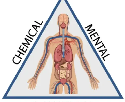 Кінезіологія: що це таке та як вона допомагає вашому здоров’ю?