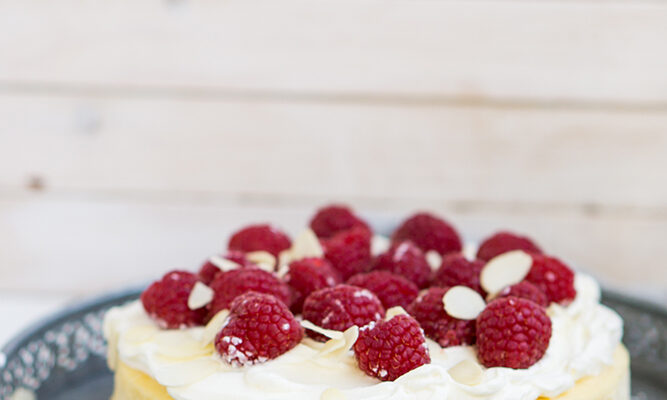 Що таке чізкейк: Історія, види та секрети приготування десерту