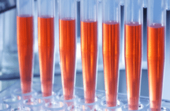 Лактатдегідрогеназа: значення, функції та її роль у вашому здоров’ї