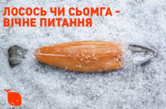 Різниця між лососем і сьомгою: характеристика та особливості видів