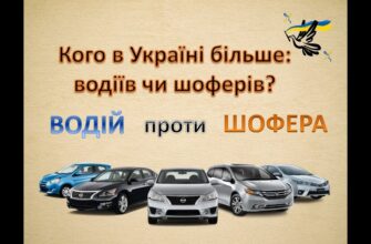 Водій чи шофер: у чому різниця та кому довірити кермо?
