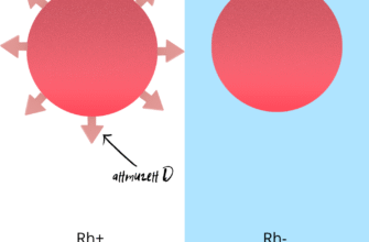 Вплив резус-фактору на здоров’я: що потрібно знати кожному